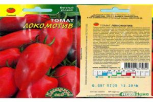 Beskrivelse af standard tomatsorten Lokomotiv og dens egenskaber