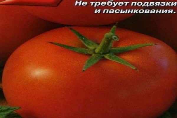 Tomatensorte