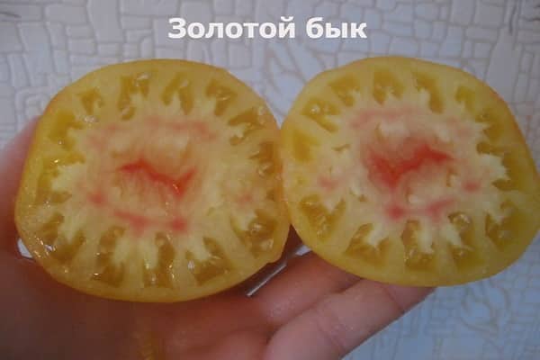 висока транспортируемост