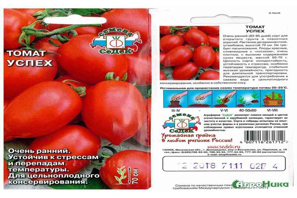 επιτυχία ντομάτας