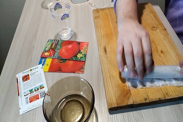 Tomaten für Setzlinge