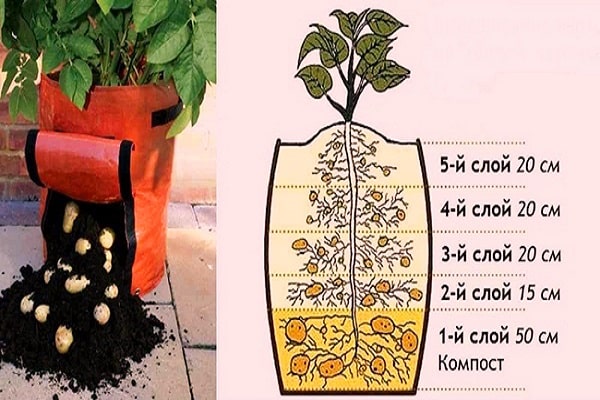 аранжирати торбе