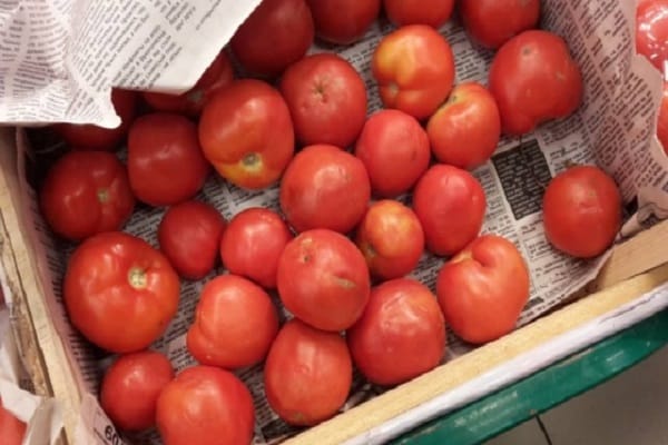 meilleurs fruits