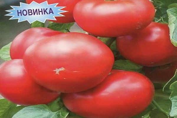новост домат