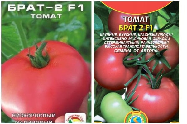 семена от домати Brother 2 f1