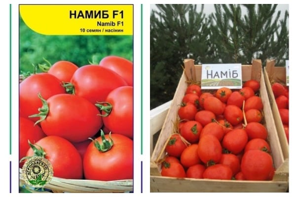 tomato seeds namib