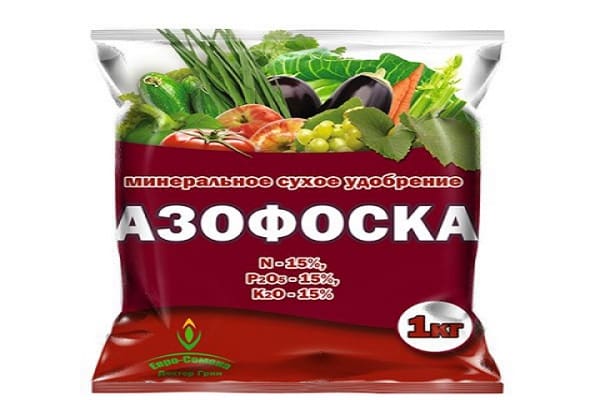 fertilizer for potatoes