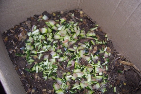 horticultural activities