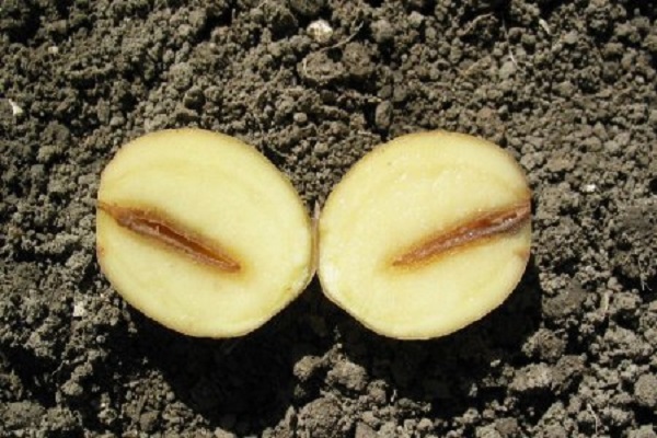geerntet