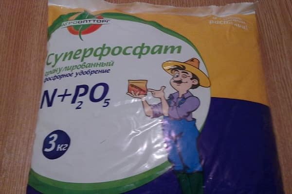 σιτηρά