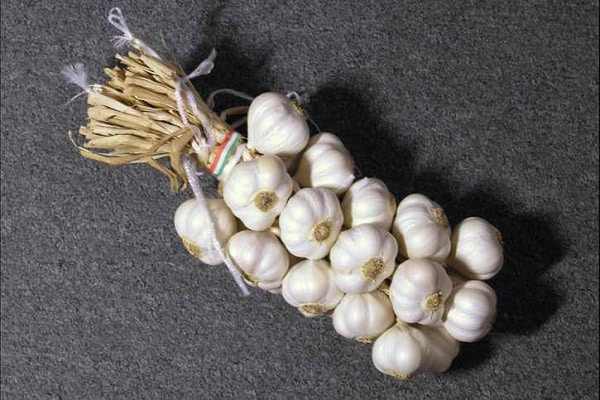 Knoblauch in Zöpfen