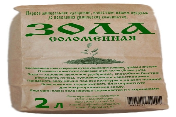 Aschegarten