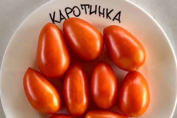 rajský karoten