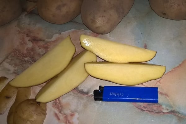 שורשי הבריזה
