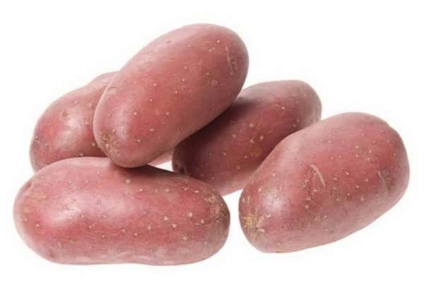 Rodrigo potatis