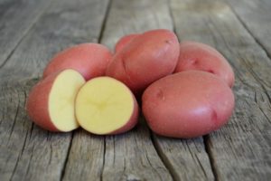 Description of the potato variety Rodrigo, its characteristics and recommendations for growing