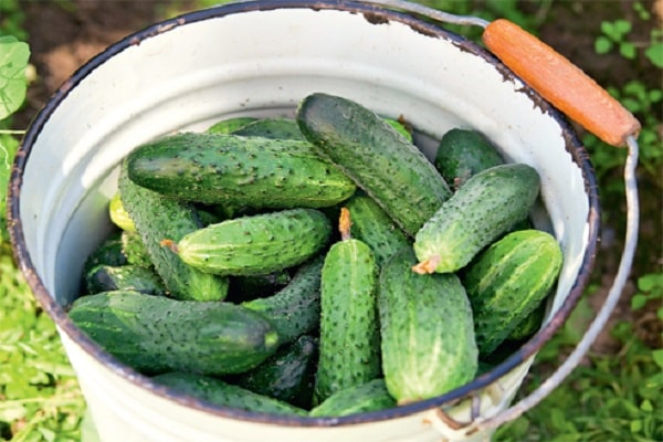 Variétés de Lukhovitskie