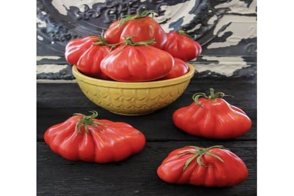 Tomaten Louis