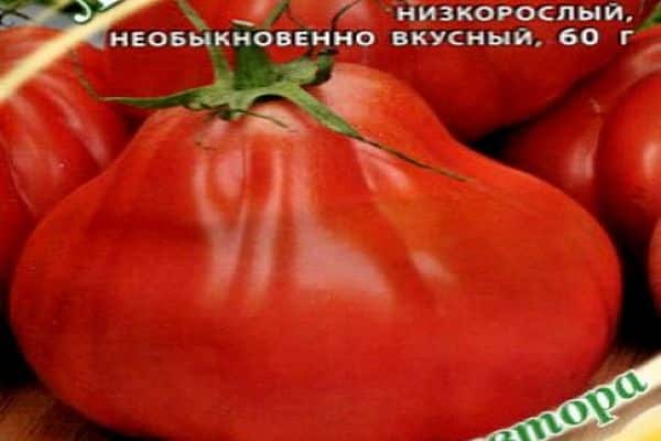 Samen der Tomatensorte