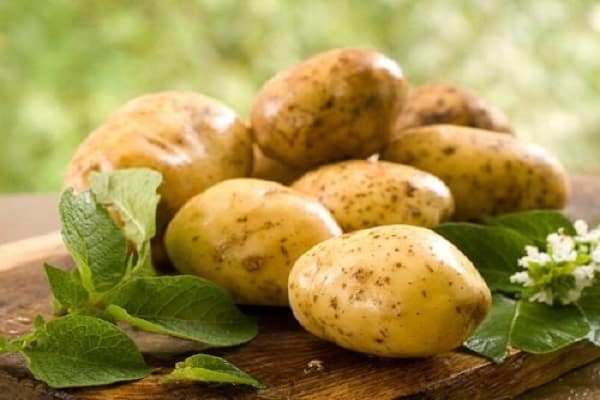 kartoffelmos