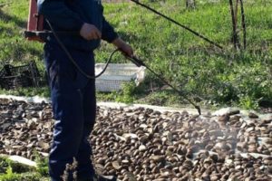 Mittel zur Verarbeitung von Kartoffeln und Verfahrensregeln