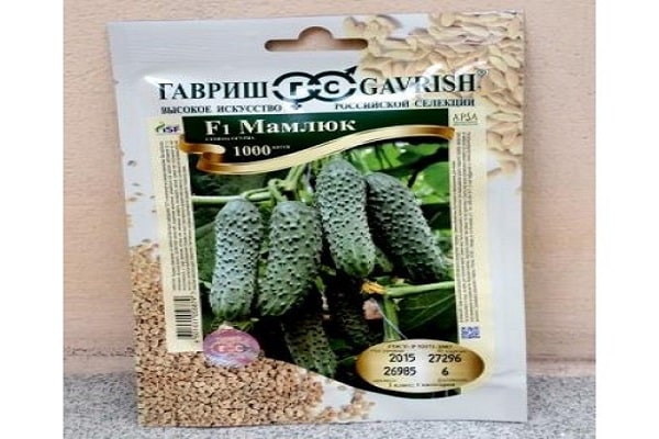 Mamluk f1 สุกเร็ว