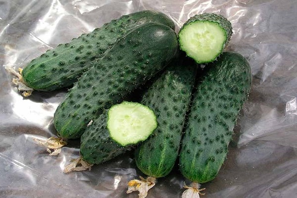 sown in the garden