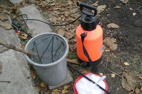 leczenie insektycydami