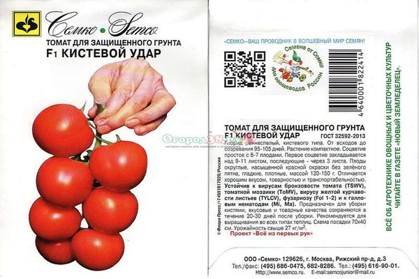 ръчен удар