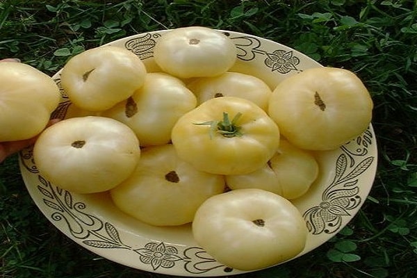 kích thước lớn