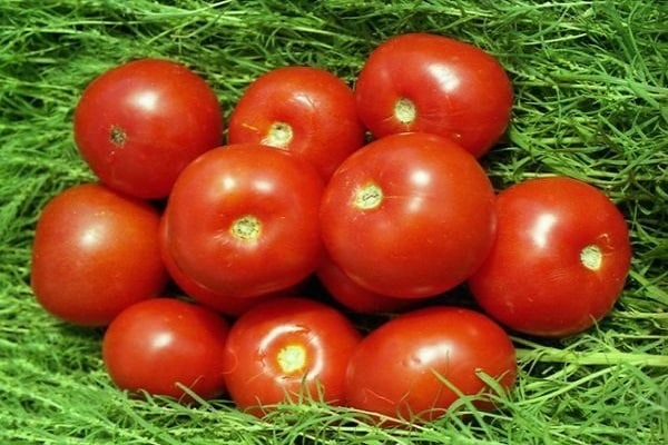 büyüme mevsimi