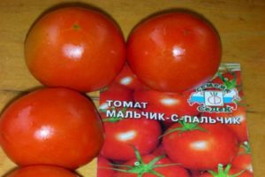 Description of the tomato variety Boy with a finger, features of cultivation and care