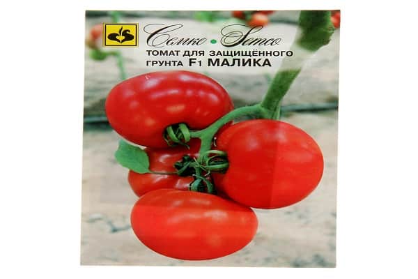 коренова възел нематода