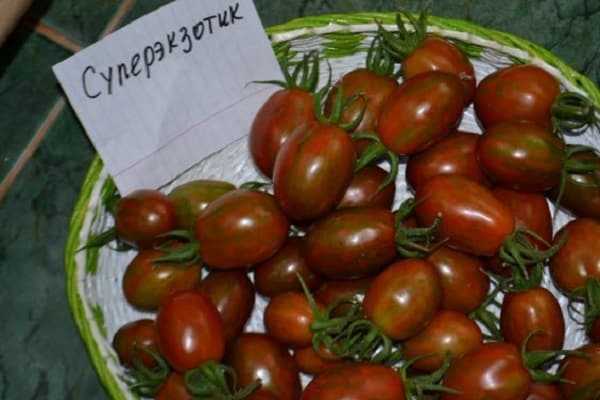 парадајз супересотичан