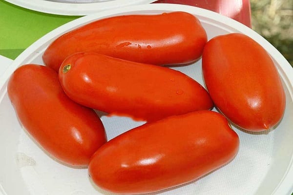 Улис домат