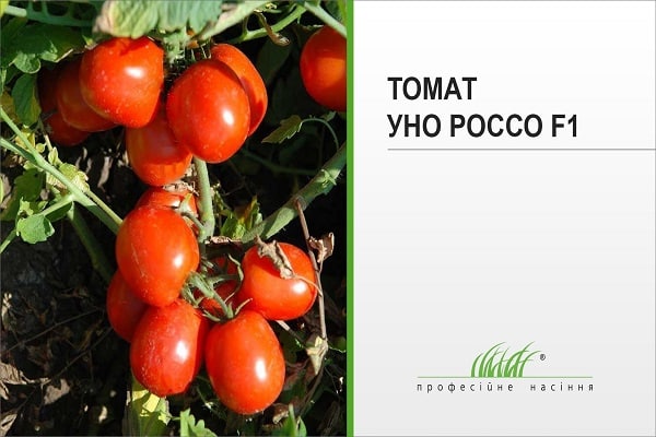 директно към билото