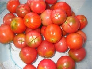Mô tả về giống cà chua Kolkhozny, đặc điểm và năng suất của nó