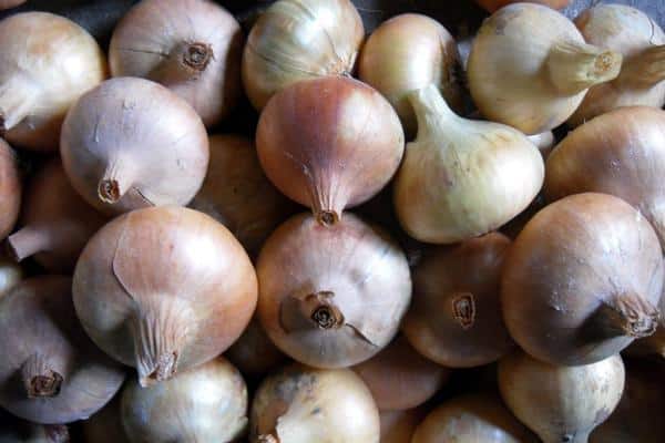 pile of onions