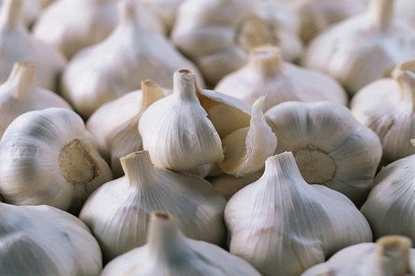 bắp cải và dưa chuột
