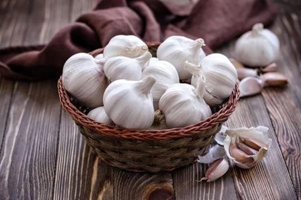 vào mùa xuân trên bề mặt