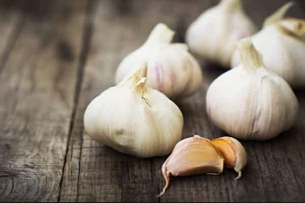 răng giả được tách ra