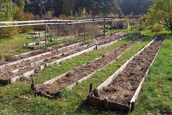 process the garden