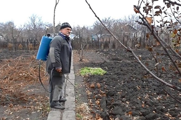 disinfection of the earth