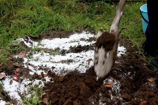 composting