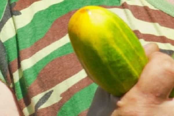 Wähle Obst