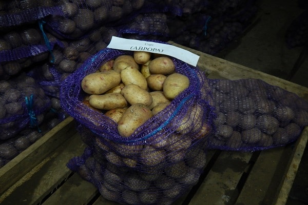smuliga potatis