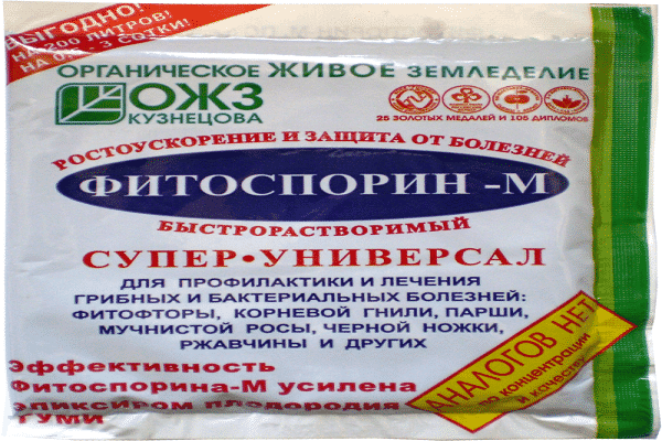 растение