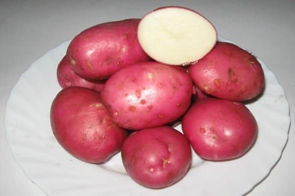 gårde