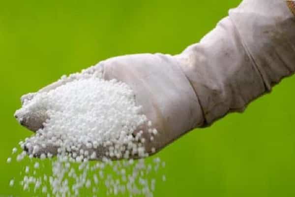 ferrous sulfate