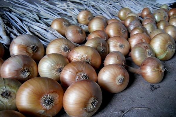 negalima sodinti